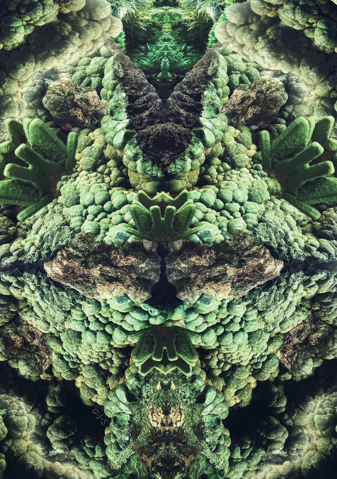 Sylve — view 3