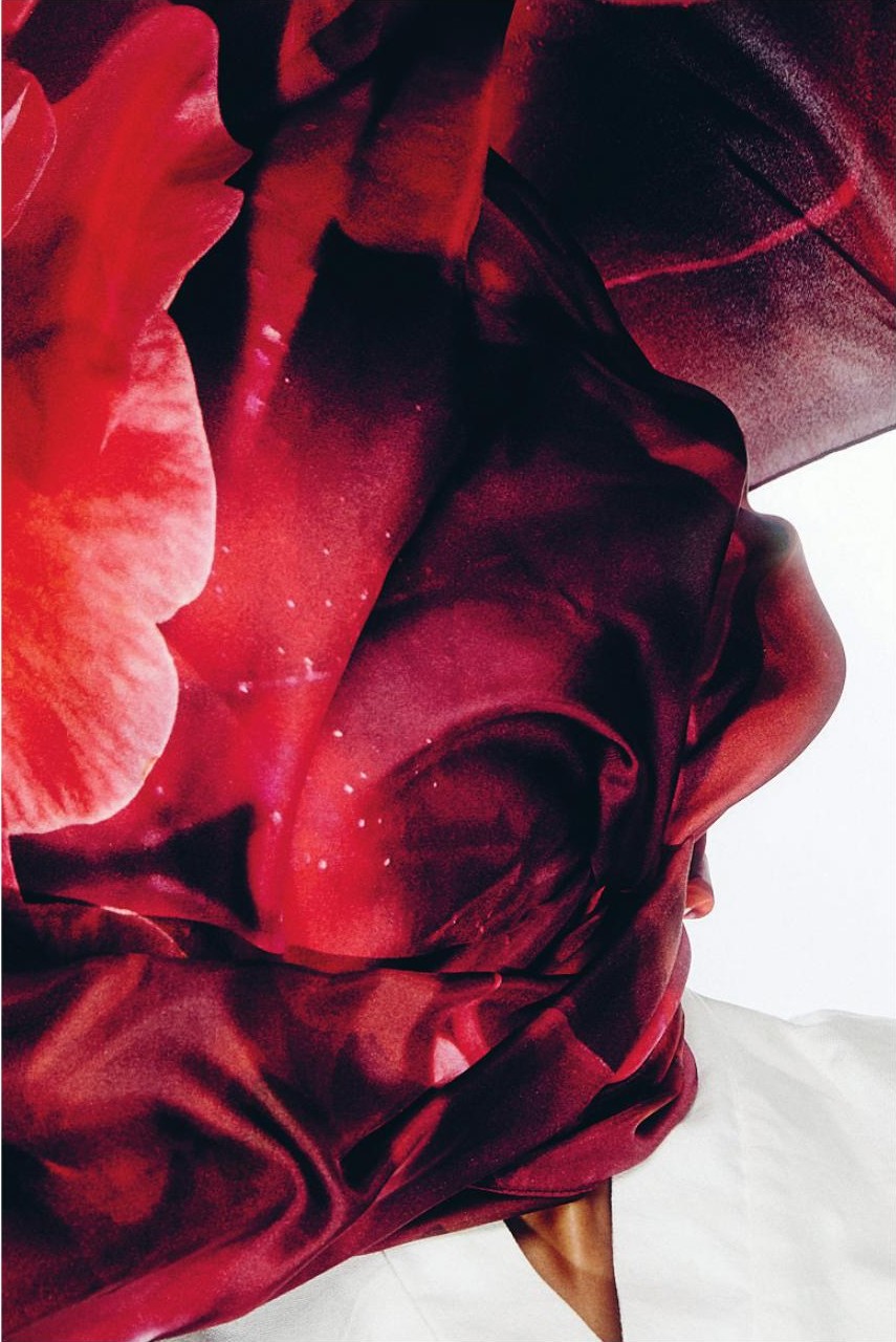 Passion — Maison GJVS