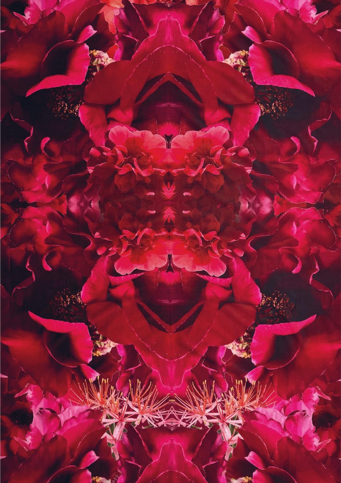 Passion — view 5