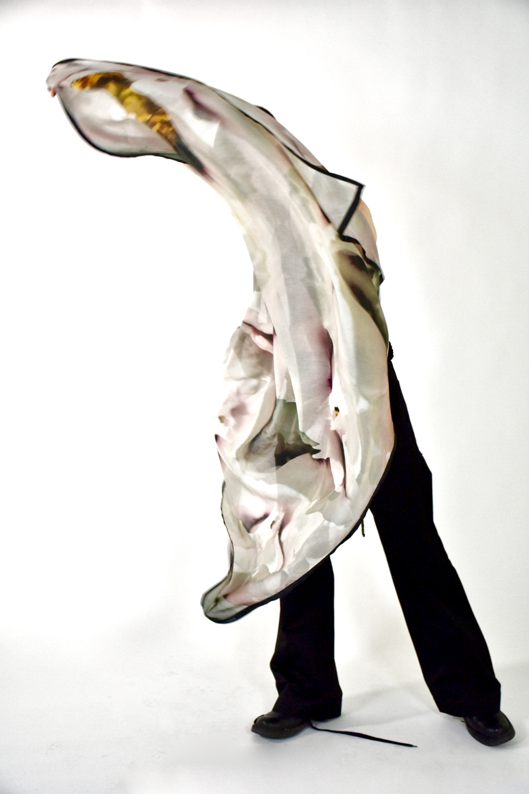 #PAREODOLIA — archive view