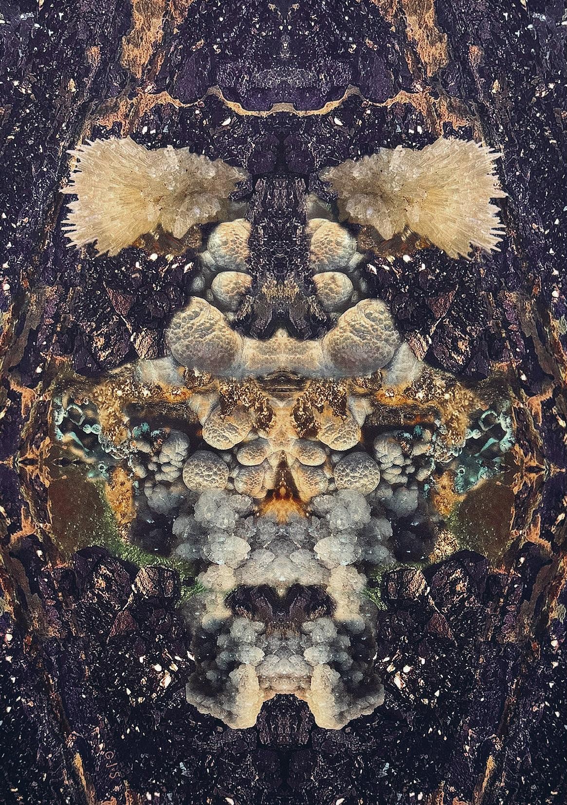 Stellaire — view 5