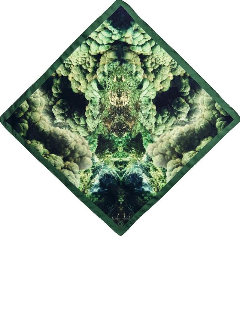 Sylve — view 2